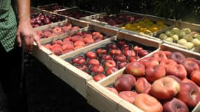 Les prix des fruits et légumes ont largement augmenté ces dernières années.