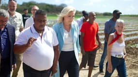 Marine Le Pen, candidate RN à la présidentielle en visite dans une ferme de Guadeloupe, le 27 mars 2022 