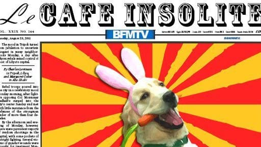 Retrouvez tous les jours le Café insolite de BFMTV.com.