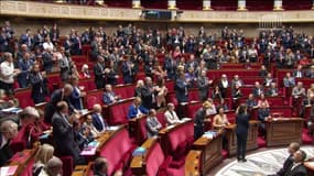 PMA pour toutes:  l’Assemblée nationale adopte largement le projet de loi bioéthique