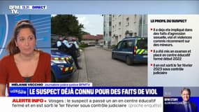 Fillette tuée dans les Vosges: le suspect déjà impliqué dans des faits d'agression sexuelle, de viol et de violences