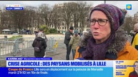 Lille: la Confédération paysanne mobilisée devant la préfecture de région