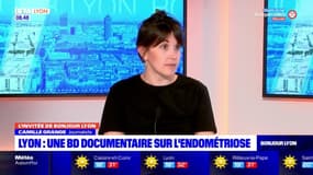 Lyon: une BD documentaire sur l'endométriose