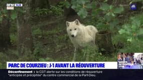 Le parc animalier de Courzieu rouvre ce samedi
