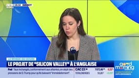 Caroline Loyer : Le projet de "Silicon Valley" à l'anglaise - 30/01