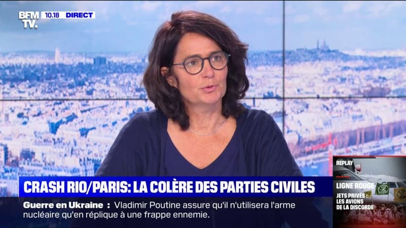 Crash du vol Rio-Paris: la sœur copilote dénonce "13 ans de procédure judiciaire chaotiques"