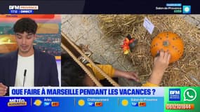 Toussaint: que faire à Marseille pendant les vacances?