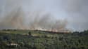 Un incendie, causé par deux départs de feux, ravage la forêt près de Gignac, dans l'Hérault, le 26 juillet 2022 