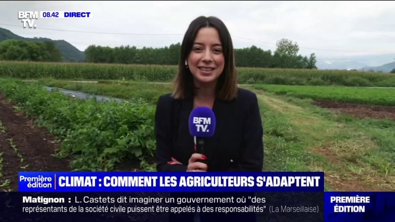 Chaleur, manque d'eau, orages... Comment les agriculteurs s'adaptent face au changement climatique