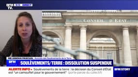 Suspension de la dissolution des “Soulèvements de la Terre”: "La décision qui a été rendue par le Conseil d'État est historique", pour Me Aïnoha Pascual (avocate du collectif)