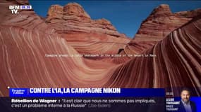 "Intelligence naturelle"; la campagne de Nikon en opposition à l'intelligence artificielle