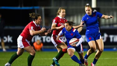 Laure Sansus