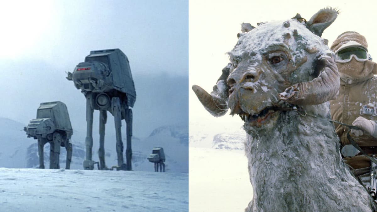 Les AT-AT et un Tauntaun Les AT-AT et un Tauntaun