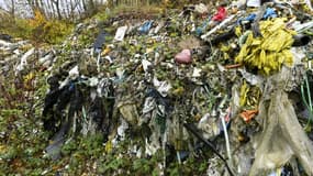 Une décharge sauvage à Redange, le 15 novembre 2023 en Moselle