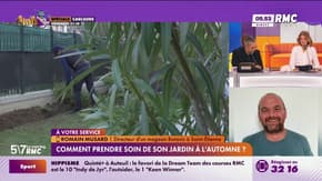 Pourquoi l’automne est-il la saison clé pour votre jardin ?