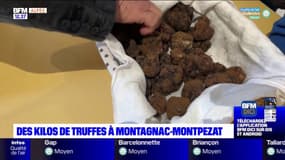 Montagnac-Montpezat: les truffes se vendent comme des petits-pains