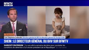 Poupées sexuelles sur Shein: Karl-Stéphane Cottendin, directeur général du BHV, déclare "être scandalisé"
