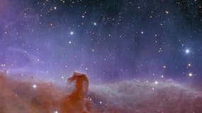 Une des premières images en couleurs du cosmos prises par le satellite Euclid, montrant la nébuleuse de la Tête de Cheval.