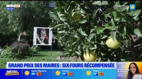 Var: Six-Fours-les-Plages récompensée au grand prix des maires