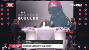 Incendies : les forêts mal gérées ? - 18/07