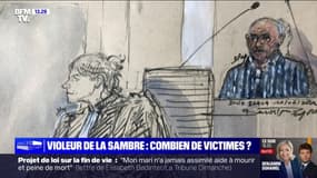 Combien de victimes de Dino Scala, le violeur de la Sambre ? 