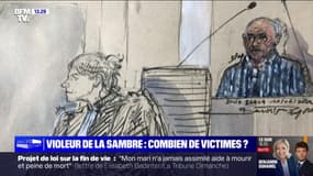 Combien de victimes de Dino Scala, le violeur de la Sambre ? 