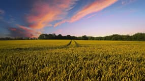 Wauquiez demande au gouvernement de retoucher la loi contre l'artificialisation des sols