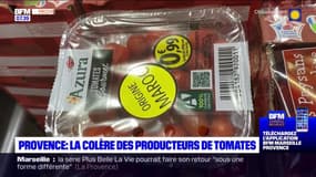 Provence: la colère des producteurs de tomates