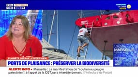 Planète Locale du lundi 9 octobre - Ports de Plaisance : préserver la biodiversité