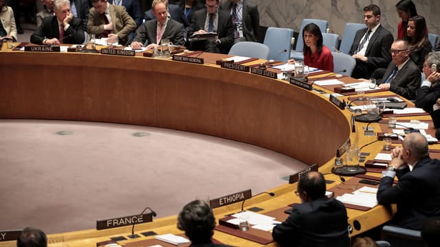 L'ambassadrice des Etats-Unis à l'ONU Nikki Haley prend la parole lors d'une réunion du Conseil de sécurité des Nations unies, le 7 avril, à New York.