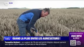 La pluie de ces dernières semaines divise les agriculteurs