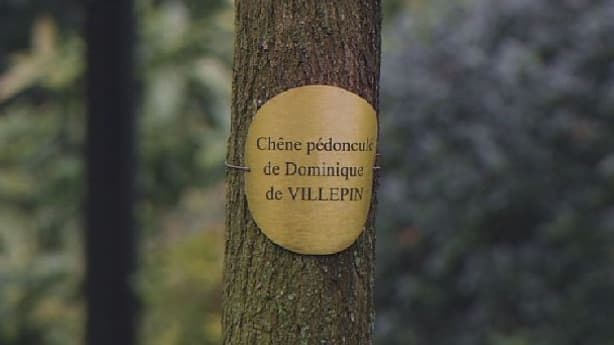 Planter un arbre, c'est s'inscrire dans le temps long.