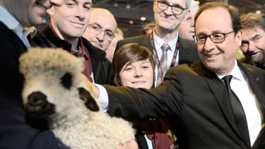 François Hollande au Salon de l'Agriculture, samedi 21 février.