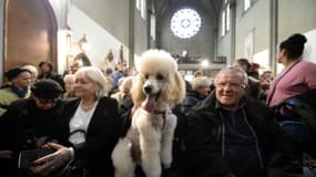 Des paroissiens assistent à une messe avec des animaux le 9 novembre 2014 à l'église Sainte-Rita à Paris