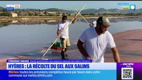 Hyères: rencontre aux Salins avec les derniers producteurs de fleur de sel du Var