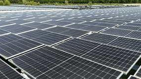 Des panneaux solaires à Perthes, dans le nord-est de la France, le 20 juin 2025