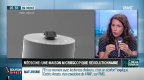 #CDEJADEMAIN : Ils ont construit une maison microscopique, plus petite que le diamètre d'un cheveux !