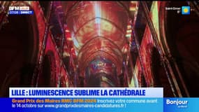 Lille: le spectacle Luminescence sublime la Notre-Dame-de-la-Treille