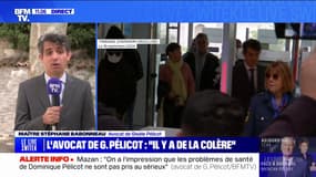 Viols de Mazan: le renvoi du procès serait "une catastrophe judiciaire, un scandale", affirme l'avocat de Gisèle Pelicot
