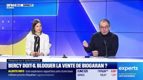 Les Experts : Bercy doit-il bloquer la vente de Biogaran ? - 19/04