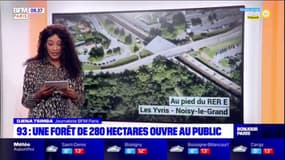 Île-de-France: le bois Saint-Martin, une nouvelle forêt pour les franciliens