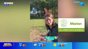 Journée internationale des célibataires ! - La météo de Colas du mardi 11 novembre 2025