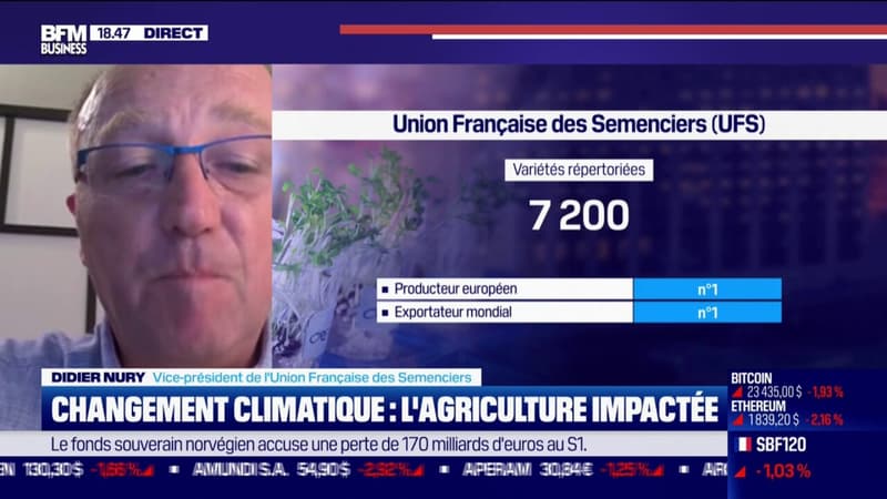 Changement climatique : l'agriculture impactée