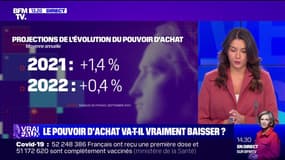 LA VERIF - Le pouvoir d'achat va-t-il vraiment baisser ?