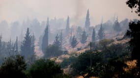 Un feu de forêt près de la ville centrale israélienne de Bet Shemesh, près de Jérusalem, le 23 avril 2025.