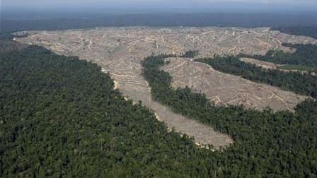 La France va défendre auprès des instances internationales la création d'un Fonds mondial de reboisement et d'adaptation au changement climatique alimenté par des "financements innovants" afin d'aider les pays forestiers à changer leurs pratiques. /Photo