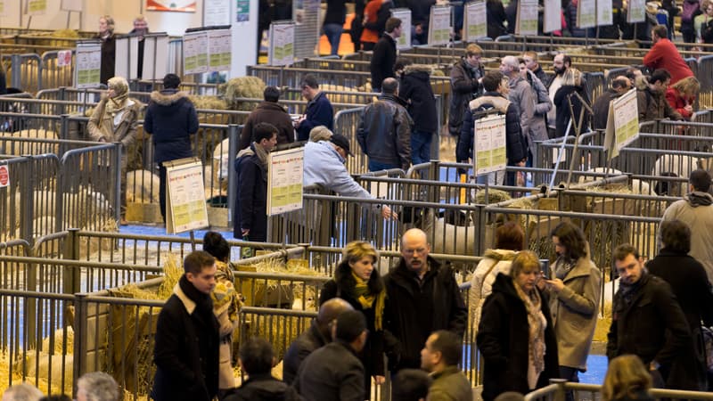 Visiteurs au Salon de l'agriculture 2016.