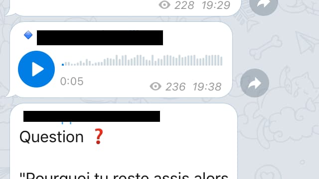 Capture écran de la chaîne Telegram Capture écran de la chaîne Telegram