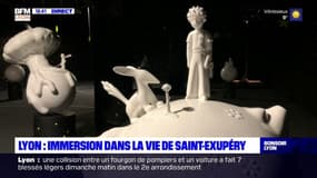 Lyon : une immersion dans la vie d'Antoine de Saint-Exupéry