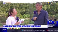 Cavalaire: une zone de nature historique